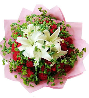 爱的感恩-22枝康乃馨，2枝百合