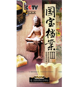 电视系列片：国宝档案III（8DVD）-