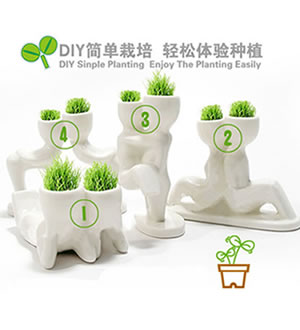 X恋人DIY种植-四种神态：亲近+爱恋+亲亲+依偎