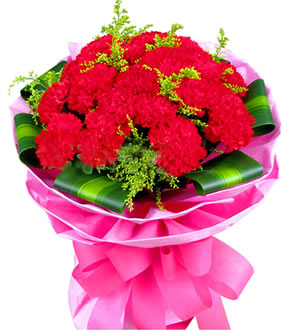 节日祝福-19支红色康乃馨