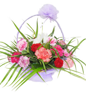 笑靥如花-各色康乃馨花篮