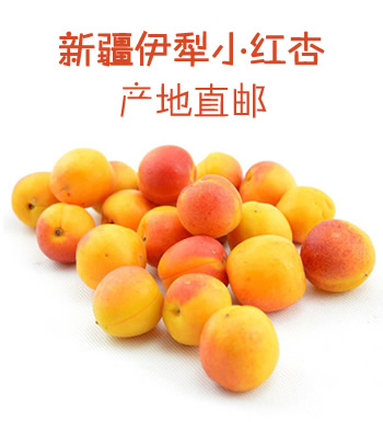 新疆伊犁小红杏（预售 6月中旬发货）-产地直邮，净重3.6斤