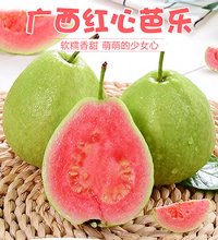 广西红心芭乐番石榴 - 精选好果