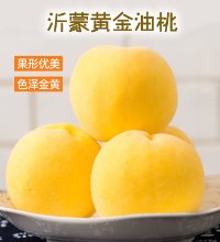祁蒙黄金油桃 - 果园直供 约5斤