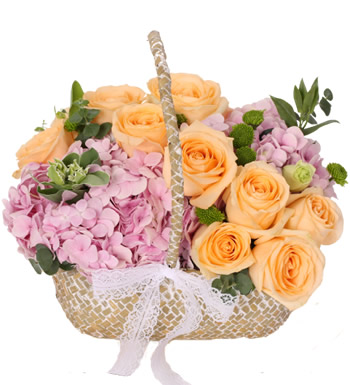 美丽康健-紫粉色绣球，香槟玫瑰