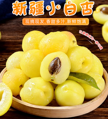 新疆小白杏(预售，6月初发货)-初恋般的甜蜜
