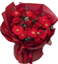 父亲节快乐 - 红玫瑰 红色非洲菊