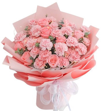母亲节快乐-粉色康乃馨33枝、粉色玫瑰9枝
